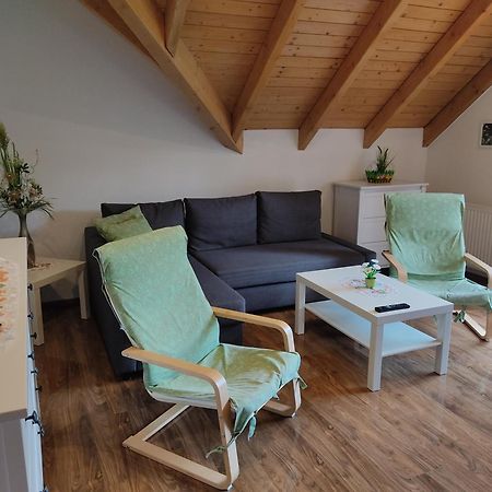 Gemuetliche Ferienwohnung Im Schoenen Erzgebirge - Wohnung Fruehling Eibenstock Bagian luar foto