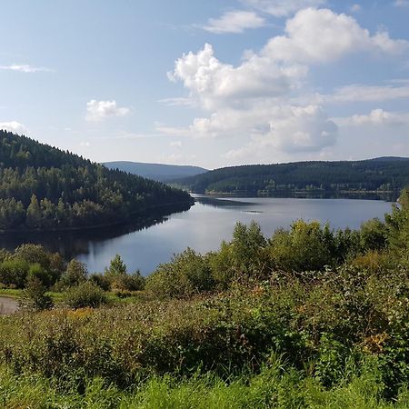 Gemuetliche Ferienwohnung Im Schoenen Erzgebirge - Wohnung Fruehling Eibenstock Bagian luar foto